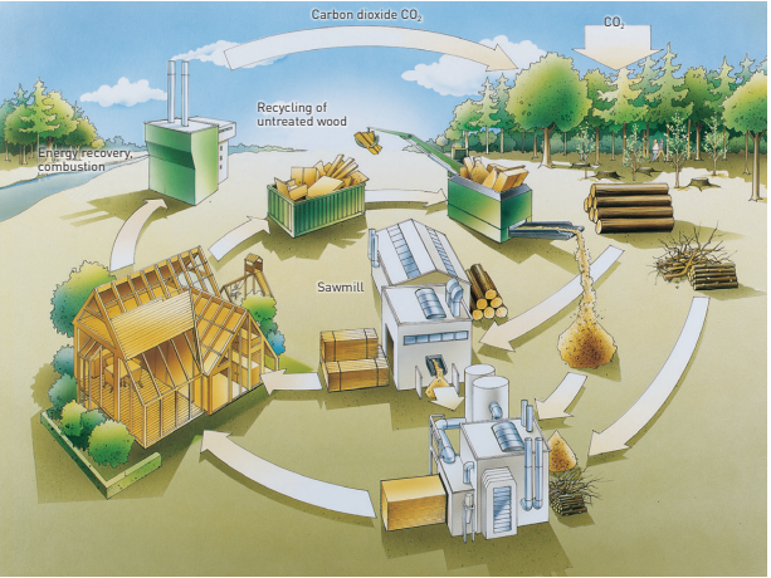 Secondary Source Process Timber #37 Australian Timber Fibre Insulation Scoping Study — Building 4.0 CRC